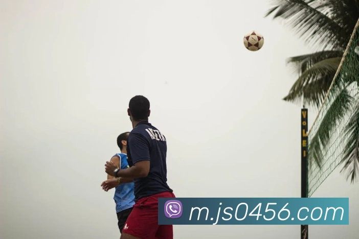 澳门金沙娱乐城官方网站平台生态图